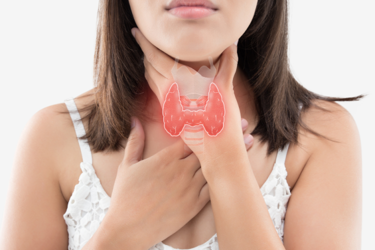 Thyroid
